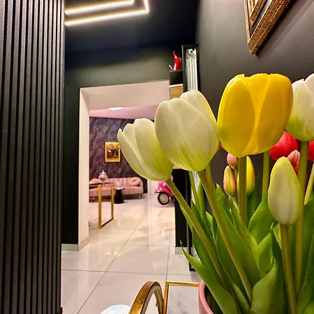 Elegance Spaccanapoli Oda ve Kahvaltı