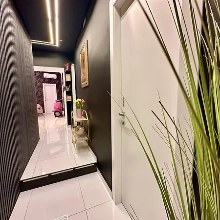 Bed and Breakfast Elegance Spaccanapoli Νάπολη